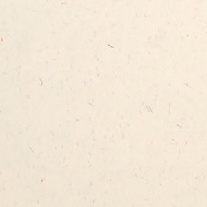 404-ff