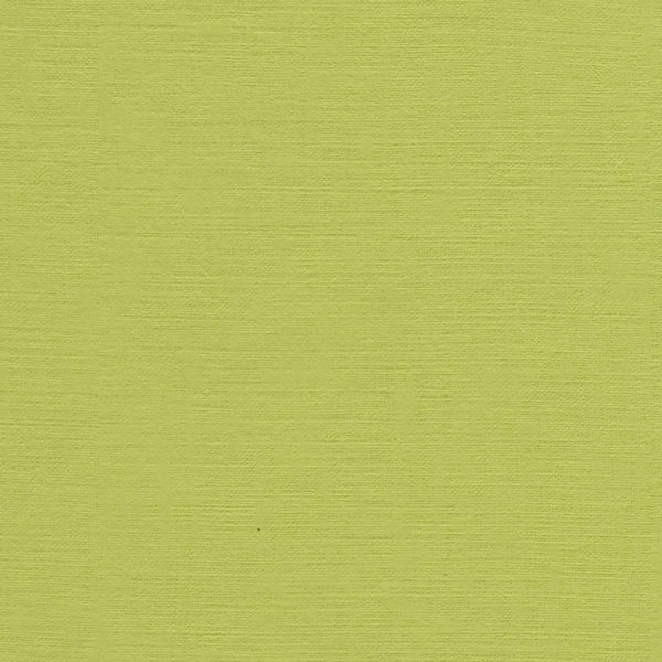 480