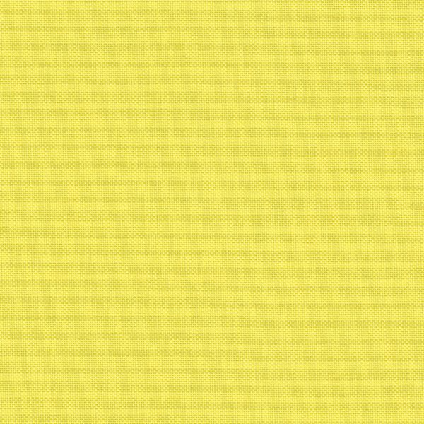 4251